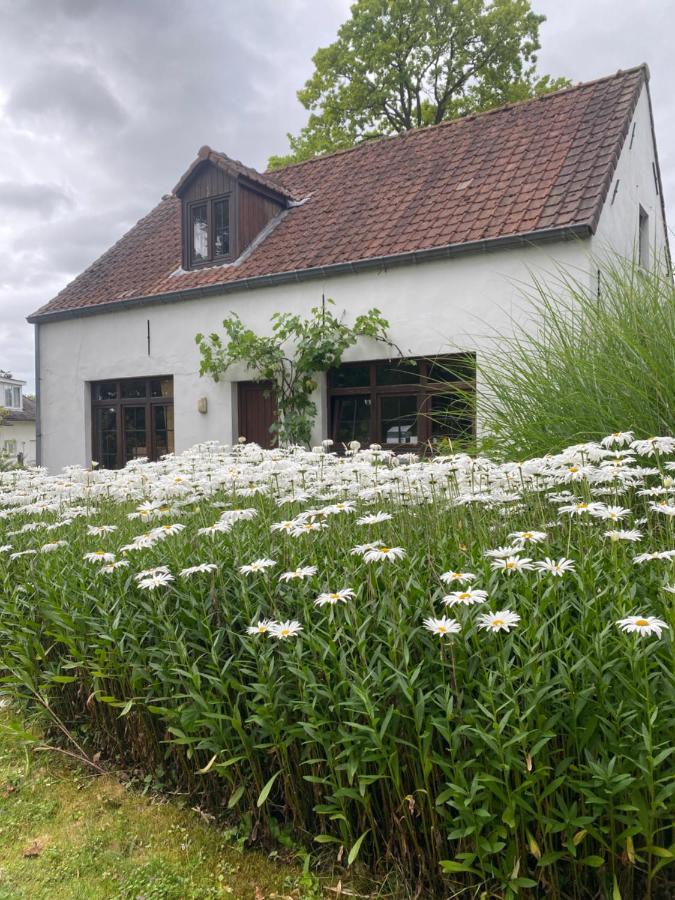 Perlefien Villa Zottegem Exterior foto
